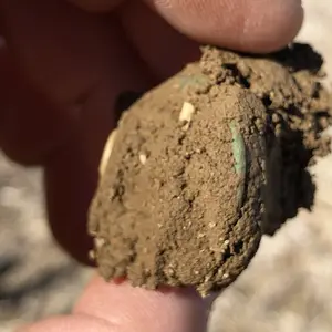 Copper (Unknown)