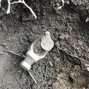 190324 frontyard mysterya