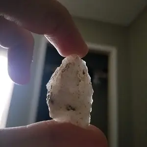 2019 fine 'arrowhead"