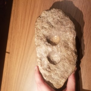 Nutting stone