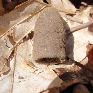 P2240859