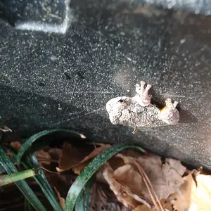 P3270596