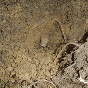 P4120625