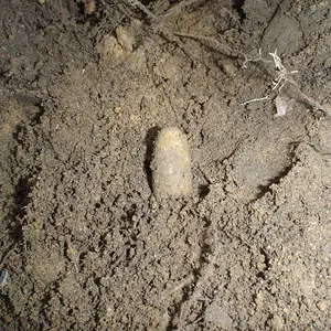 P4120627