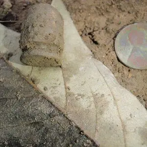 P5050994
