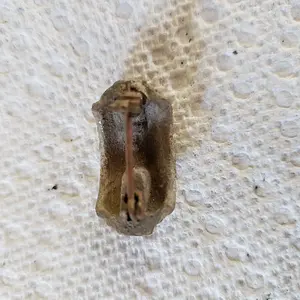 20190616 170442
