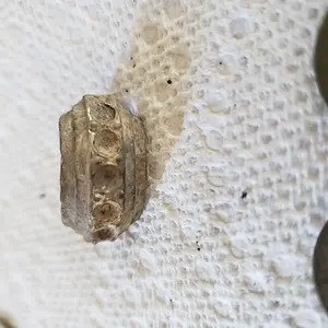 20190616 170458