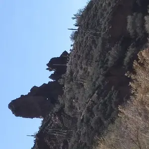 20190212 121959