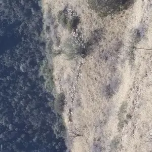 20190211 130145