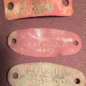 Dog Licenses; Top to Bottom; 1956, 1927, 1950; Ashtabula County, Ashtabula County, Lake County