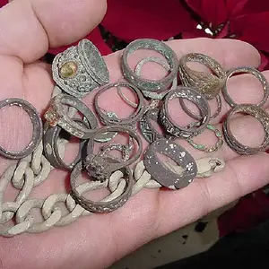 fla silver   1 trip[1]