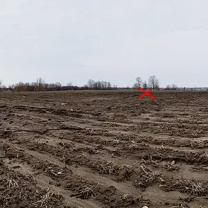 20190407 150050