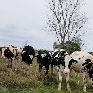 20191003 215559