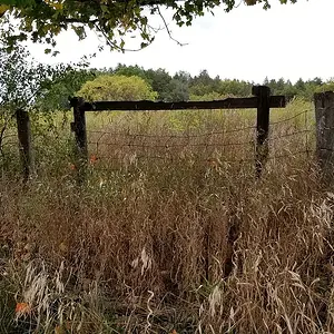 20191006 150911