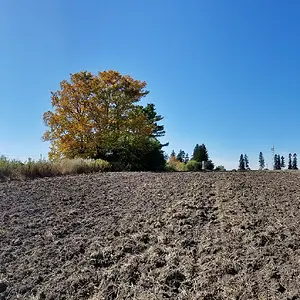 20191012 065400