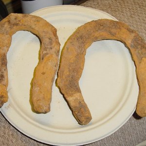 2 HORSE/MULE SHOES FROM A CW SITE