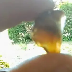 Amber?