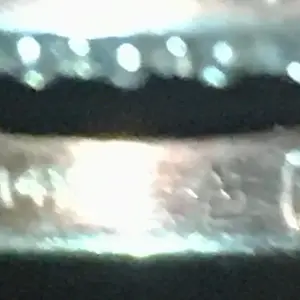 IMG 2520