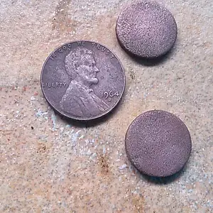 KIMG0341