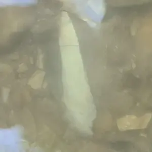 20200613 075016