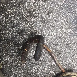 Found near the railroad... furnace stoker? Clawed end.