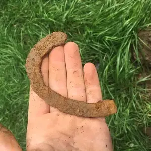 Mule shoe? Too small for a horse. 7/30