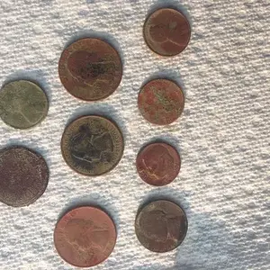 9-12 second hunt.