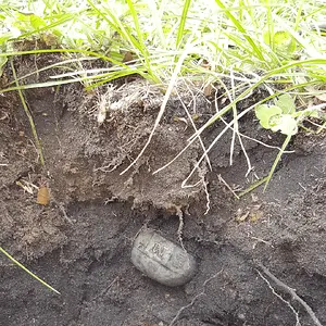 20201226 182805