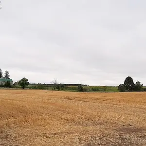 20200804 104024