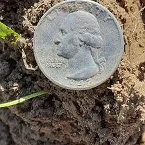 1942 Washington Quarter