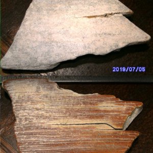 Columbian Mammoth - tusk shard found in on a river gravel bar in Southern Minnesota