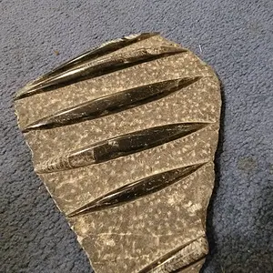 Fossil