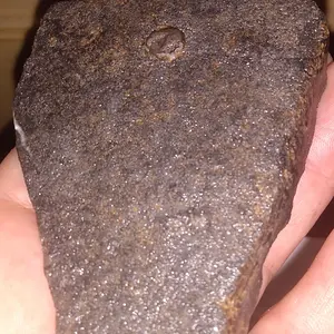 IMG_20211117_171426512.jpg