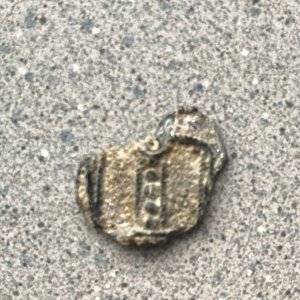 Mystery find coin badge?