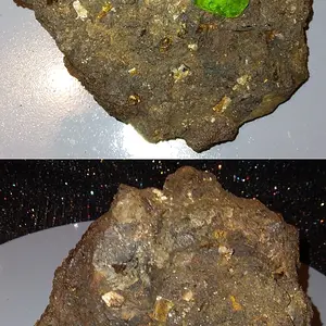 Galactic Specimen.jpg
