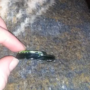 Can anyone tell me what this is