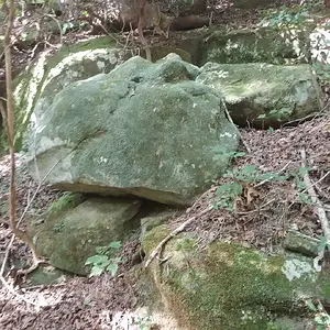 Carved Markers