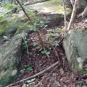 Carved Markers