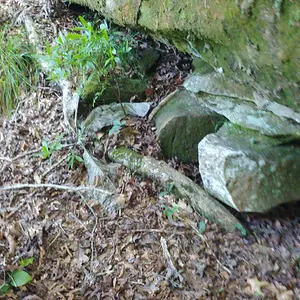 Carved Markers