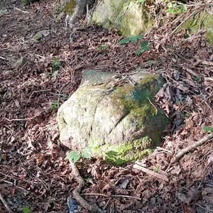 Carved Markers