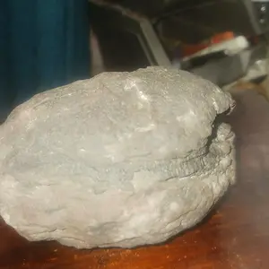20230225_213754.jpg