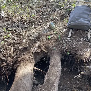 new hole.JPG