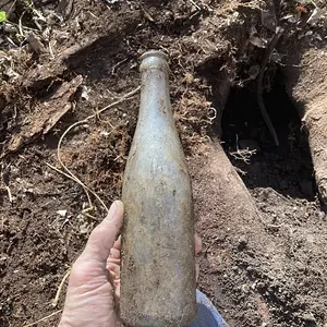 fresh dug.JPG