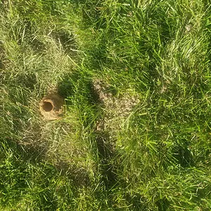 Where I found it
