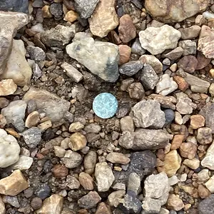 1926 British India Quarter Anna coin