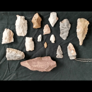 Some of the very nice finds of ours.