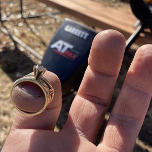 Brian's backyard wedding ring