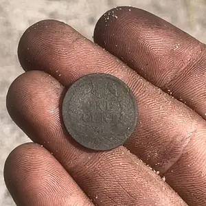 Nice 1889 Indian surprise!