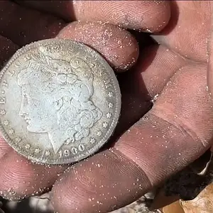 Friend pulled this out of the ground In front of my face🫣