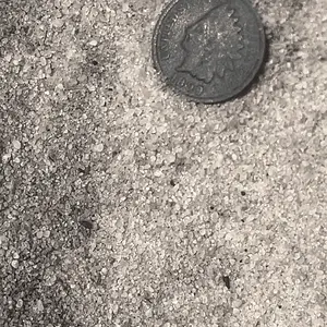 Surface find! (1899) Indian head cent